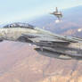 F-14 Tomcat - Iraqi Freedom