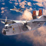 Grumman C-2A Greyhound VRC-40 Rawhides