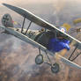 Pfalz D.III Artwork