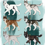 Husky adoptable - CLOSED