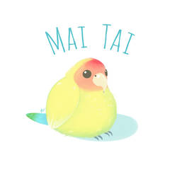 Mai Tai- Peach Face Lovebird