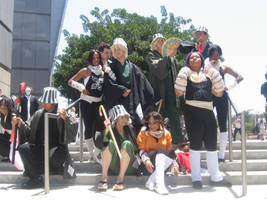 ax 2010 bleach9