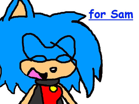 Gift for sammythehedgehog678