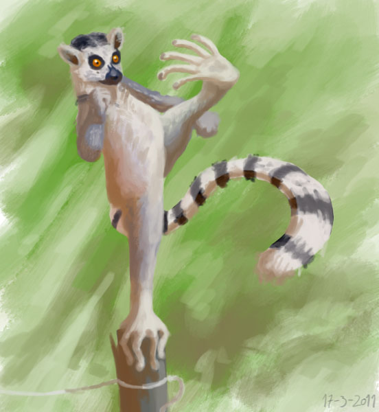 88 kung fu lemur