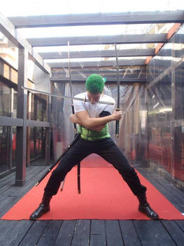 Zoro Roronoa Thriller Bark cosplay