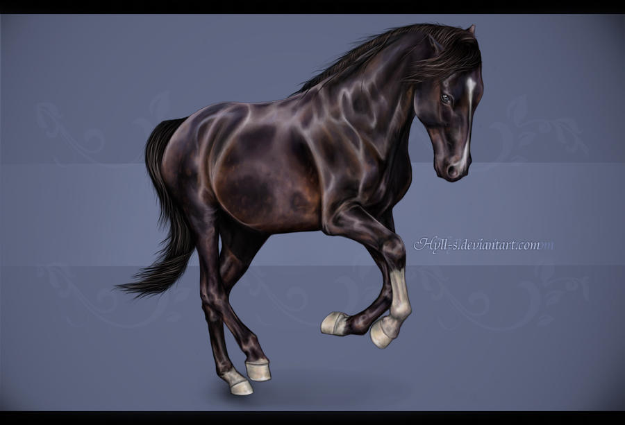 Altair - Horse Digital