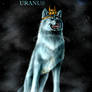 The Starry Wolves - Uranus