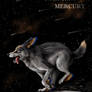 The Starry Wolves - Mercury