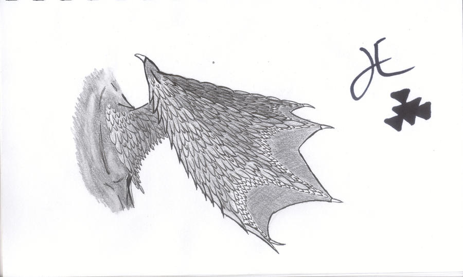 Deviantart Bat Winged feathered bat wing by ArcticSpider on DeviantArt
