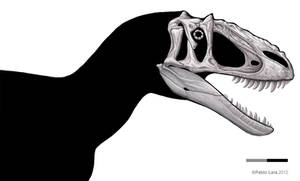 Yutyrannus shaded skull