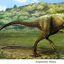 Gorgosaurus libratus