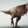 Tyrannosaurus rex-Alternate version.