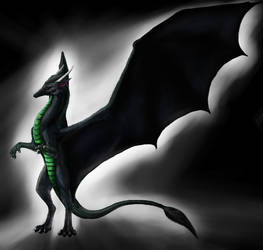 Shaktar Black Dragon