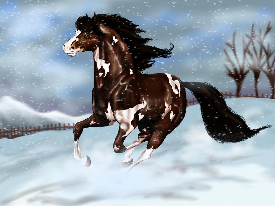 Winter Gallop