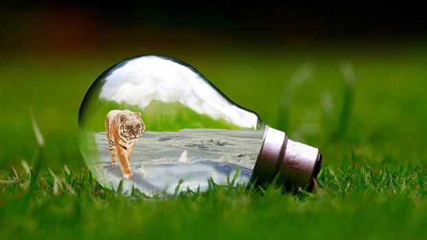 Tiger Bulb