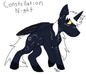 Constellation Night