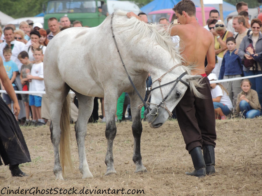 Hungarian Festival Stock 027