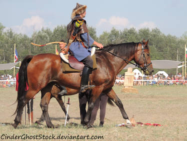 Hungarian Festival Stock 141