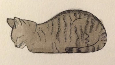 Issa cat by tesstriestoart