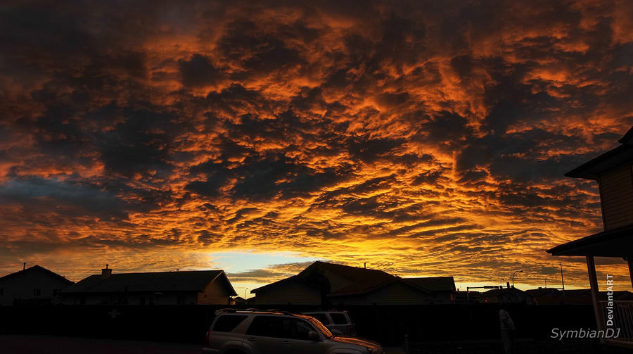 Stunning Skies