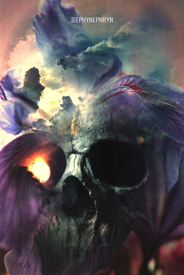 Skullture IV.