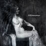 Nocturne maximal