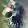 Third Eye IV.