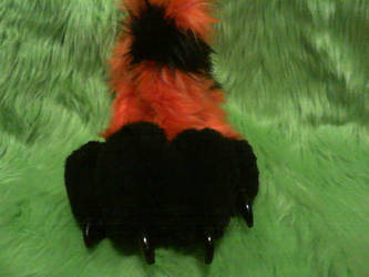 Daia Foot Paw 2