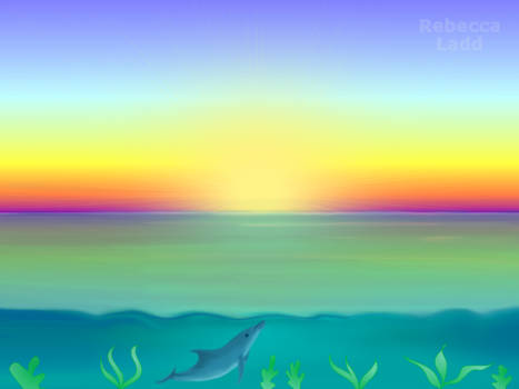 Sunset Dolphin