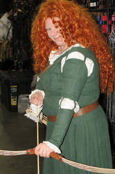 Merida - New Wig