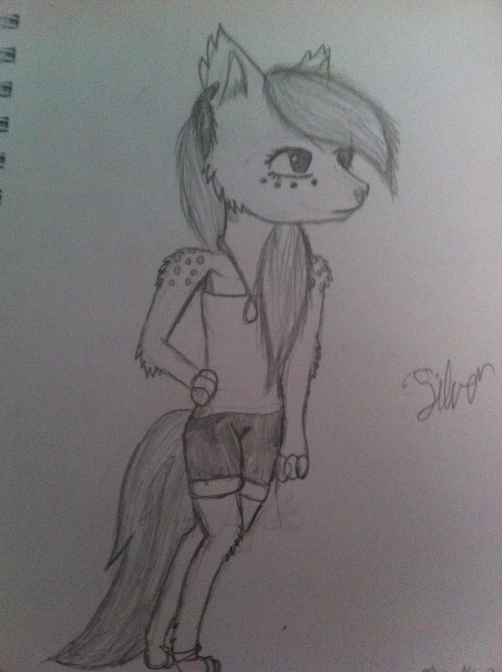 Silver anthro