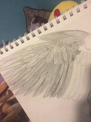 Feathers- eagle wip