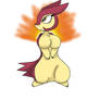 Typhlosion