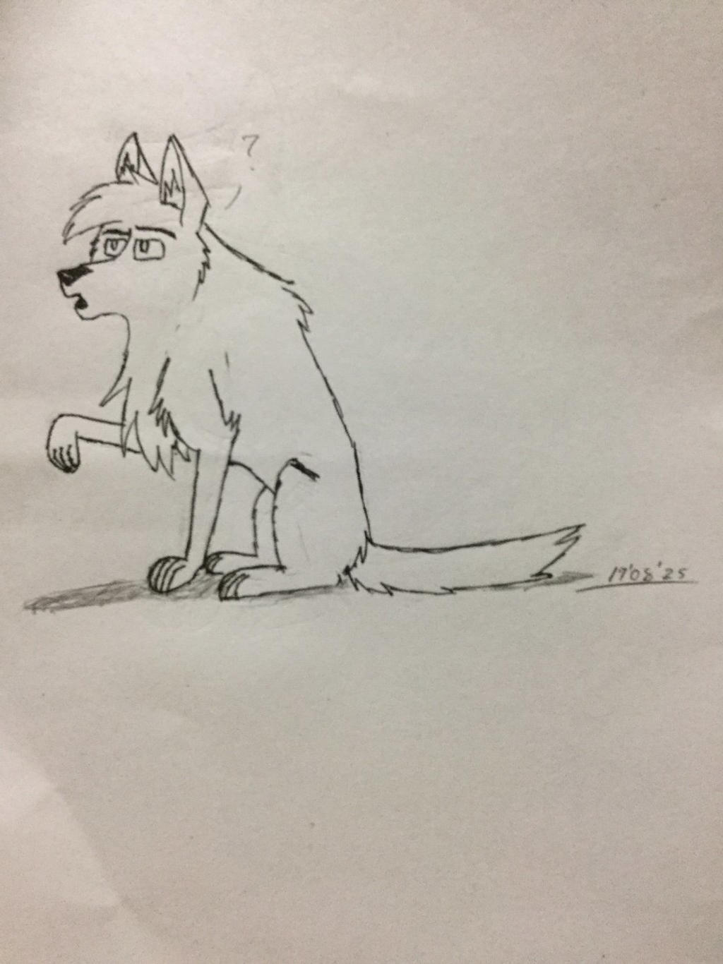 Confused dog(Wolf?)