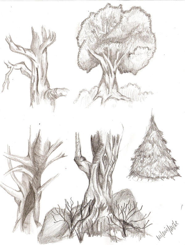 Experiments with Trees by dragonbright on DeviantArt