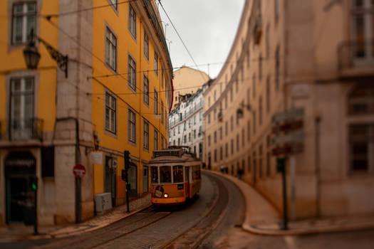 Lisbon - 11/23