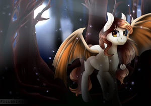 Tafi by Pillonchou Tafi by Pillonchou
