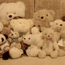 Teddy Bears ID