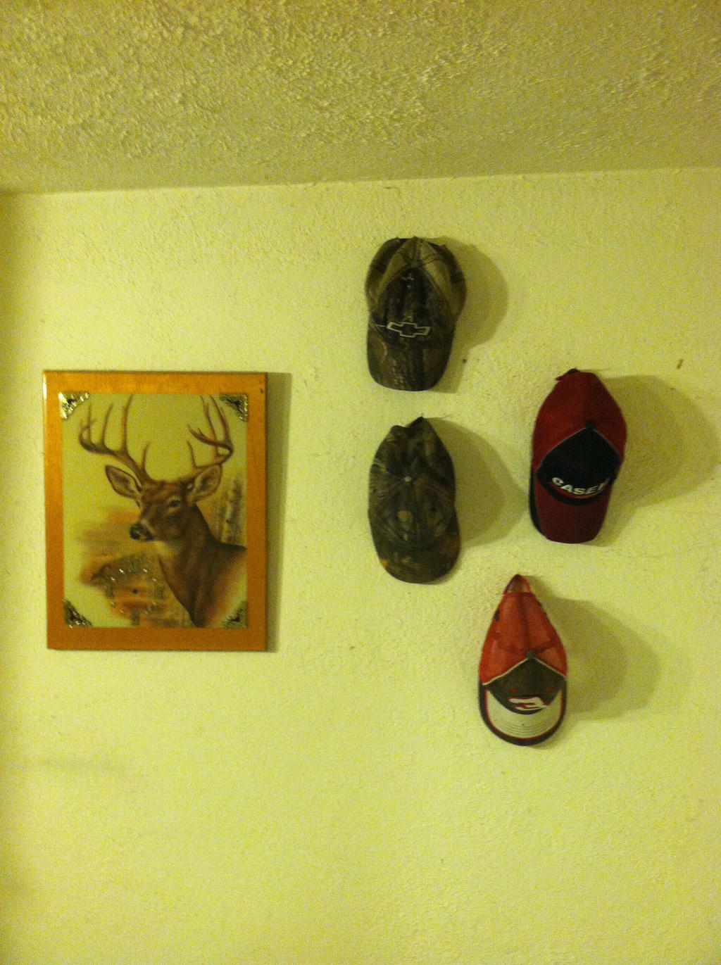 My Redneck Wall