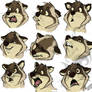 Raccoon expressions design
