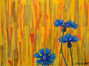 Corn flowers