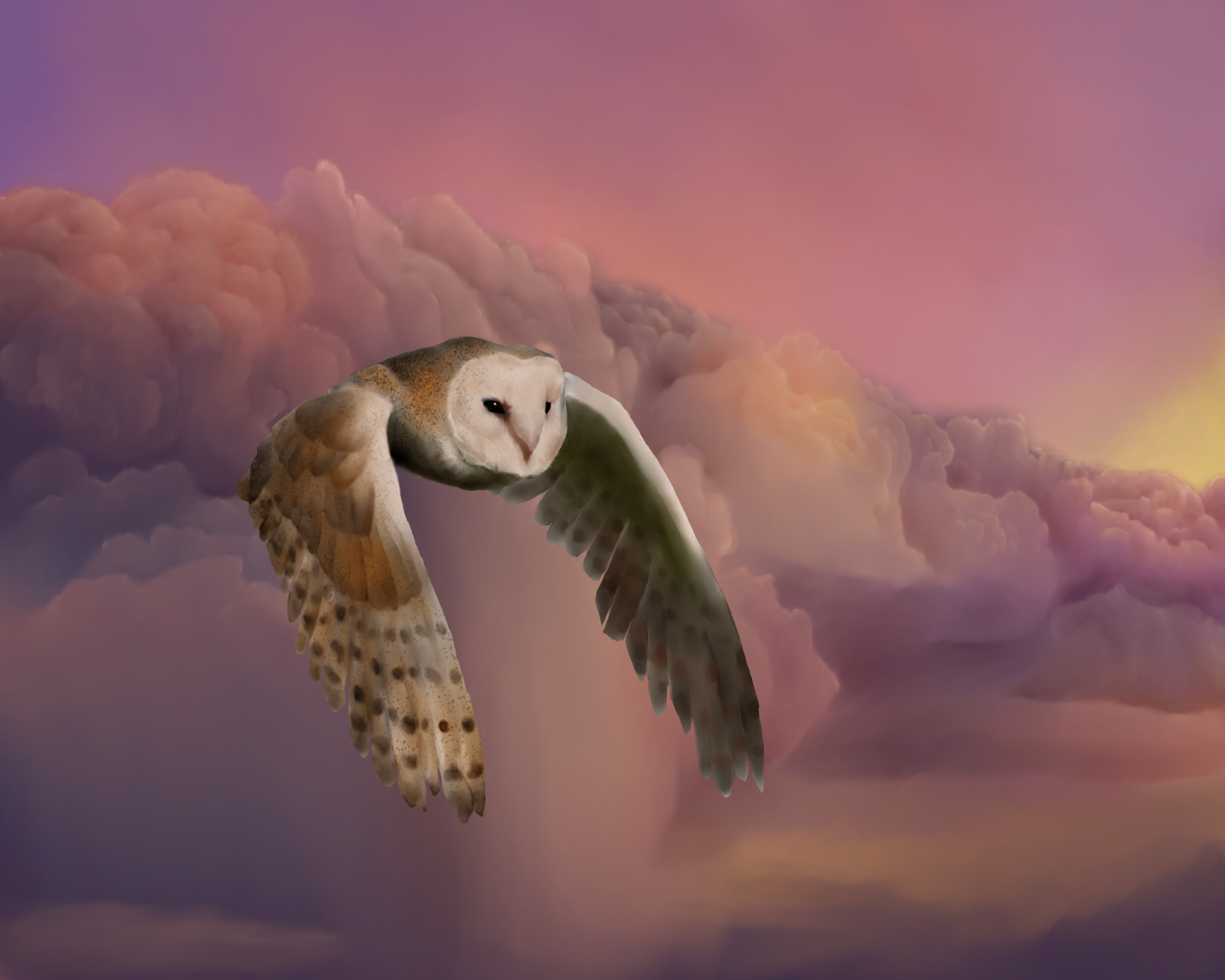 Fleeing the Storm