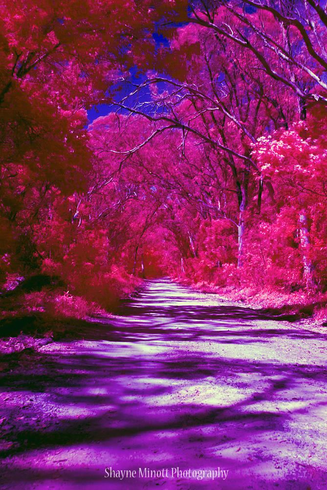 Country Road IR