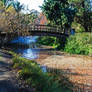 Arboretum, Winter 2012