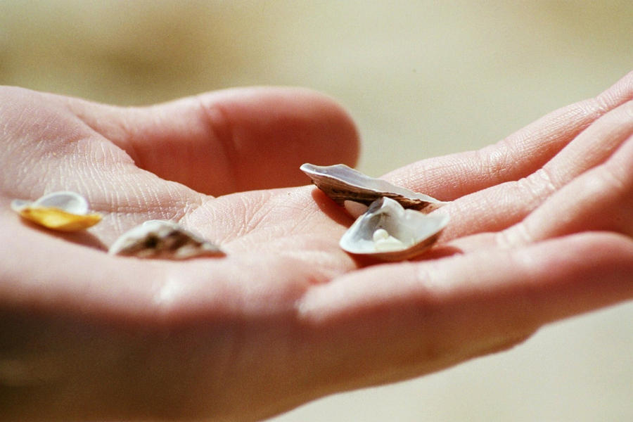 gathering shells by marycubb on DeviantArt