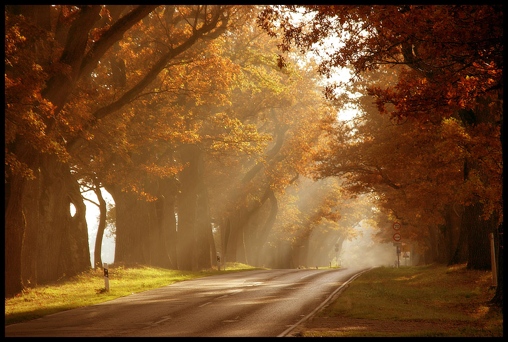 reprise of autumn sun by ssilence