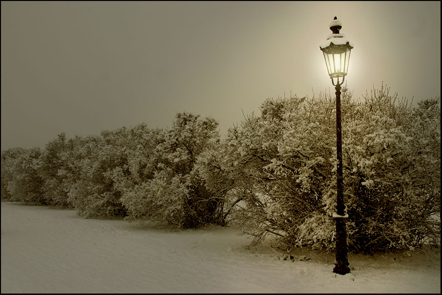 bewitched lantern