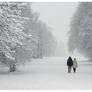 walk with me