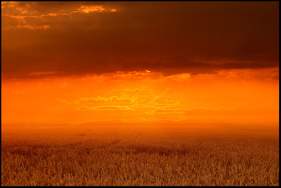 warm horizon by ssilence
