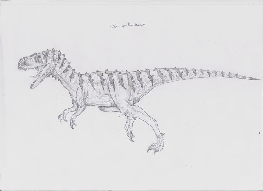Metrisaurus Drawing Metriacanthosaurus by Danillo-Toga on DeviantArt